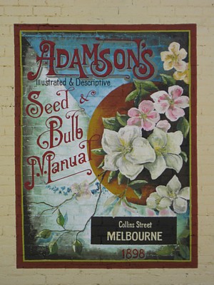 Adamson's Seed & Bulb Manual